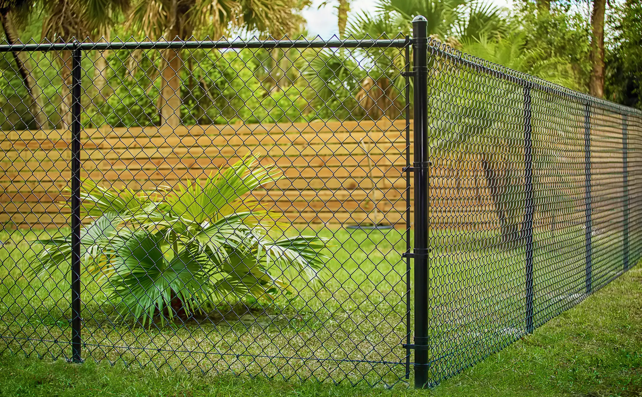 Black chain link fence with privacy slats - side yard