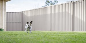 Why Installing a Fence Is Essential for Pet Owners